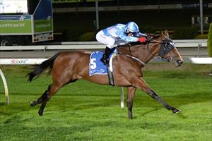 Classy mare claims the Pinker Pinker Plate